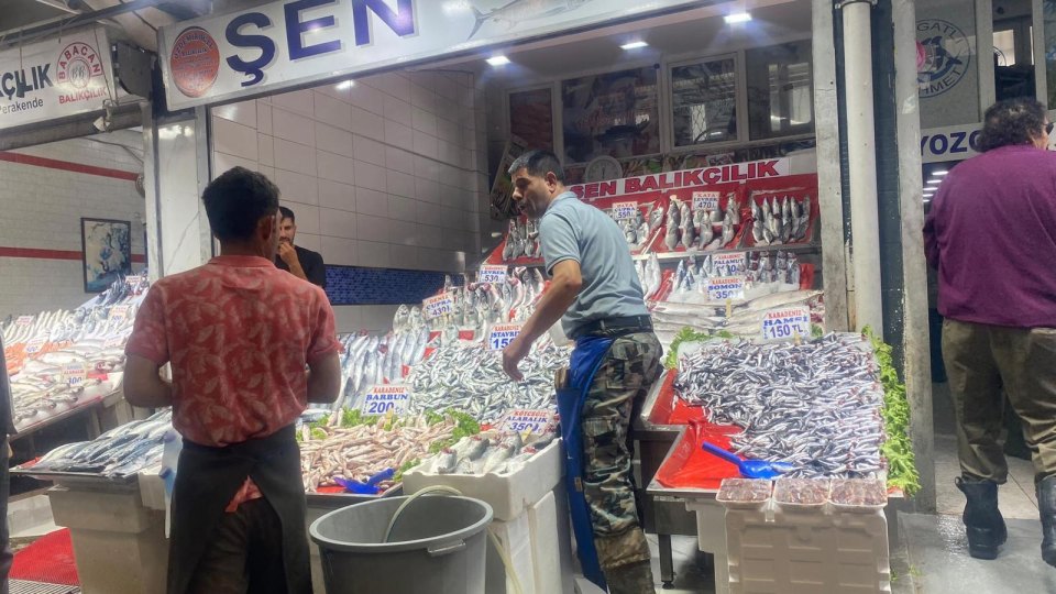 balık sezonu hareketli - Balık sezonu hareketli başladı, esnaf iddialı: “Bu sene zam yok, en tazesi Ankara'da yenir