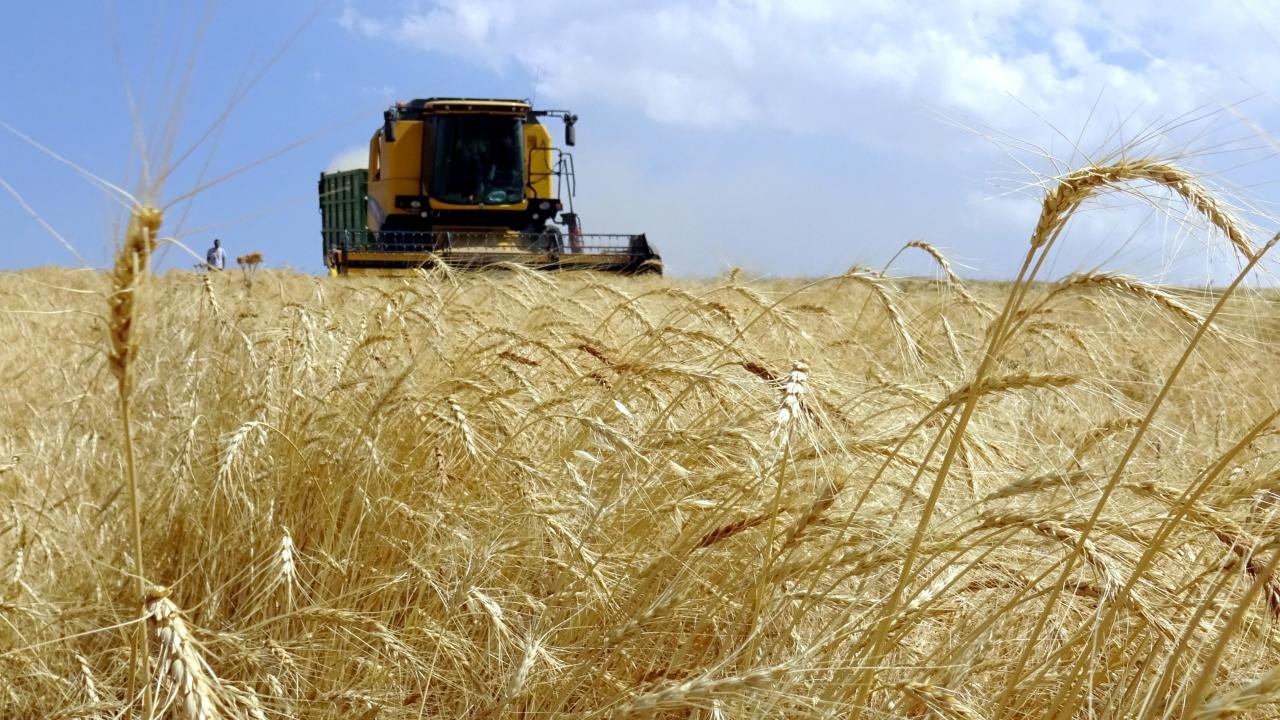 Tarımsal üretimde maliyetleri azaltacak yapısal adımlar hızlandırılacak